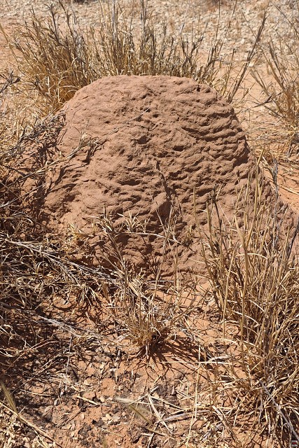 img00018.jpg