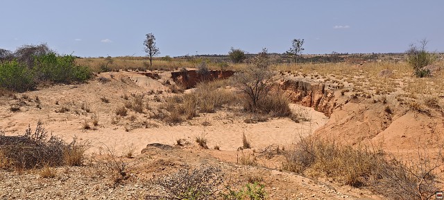 img00019.jpg