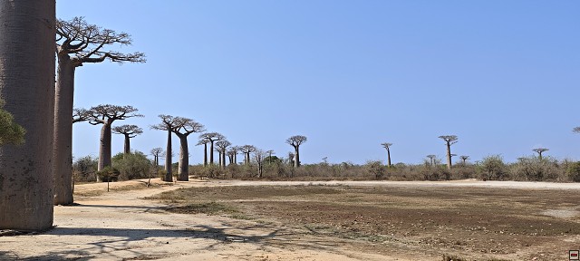 img00021.jpg