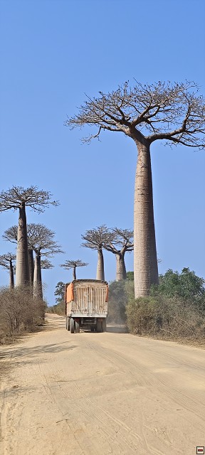 img00029.jpg