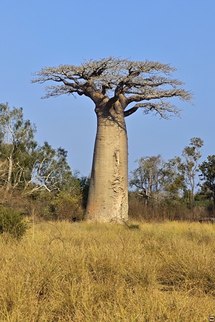 img00035.jpg