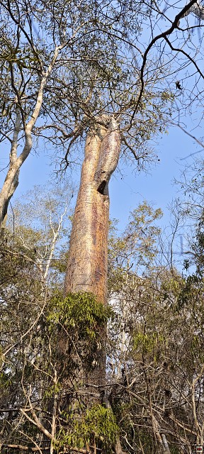 img00013.jpg