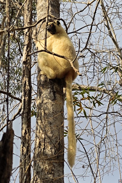 img00015.jpg