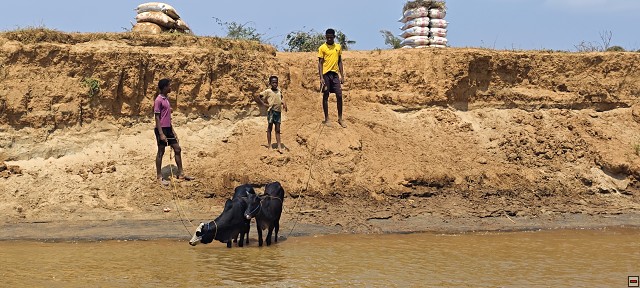 img00040.jpg