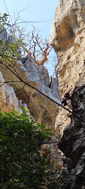 img00015.jpg