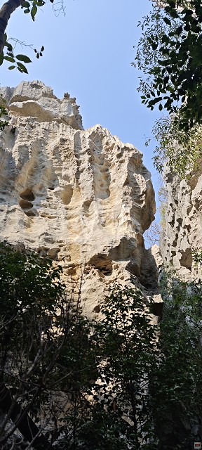 img00016.jpg