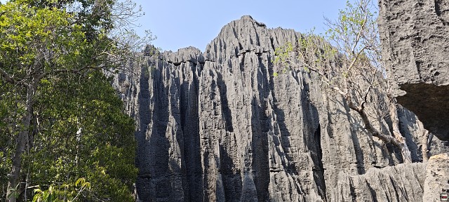 img00026.jpg