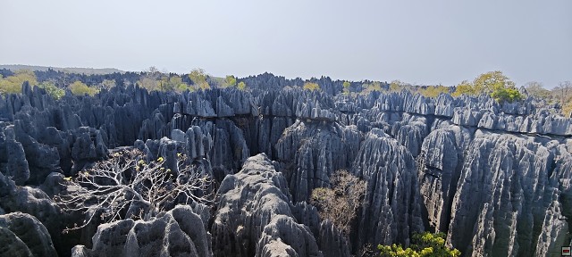 img00033.jpg