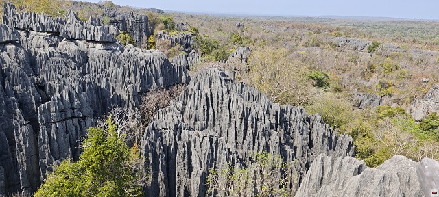 img00035.jpg