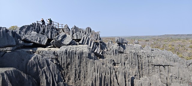 img00039.jpg