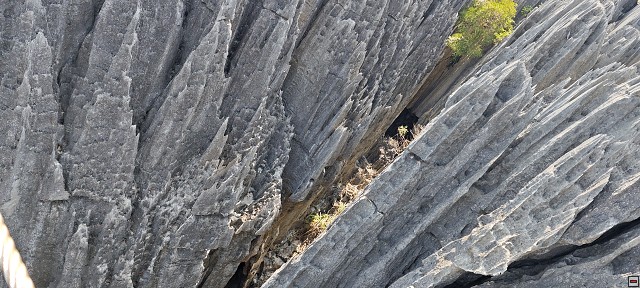 img00045.jpg