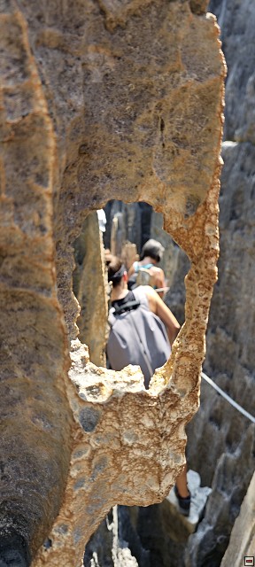 img00050.jpg