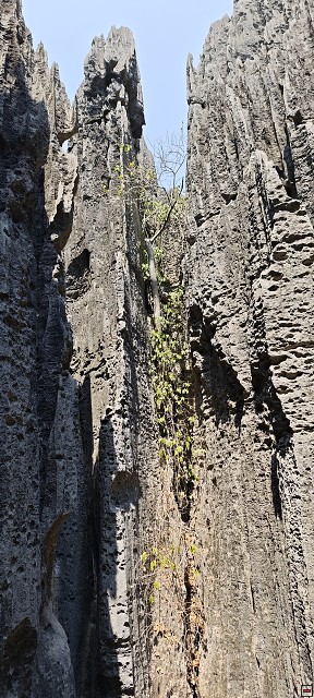 img00054.jpg
