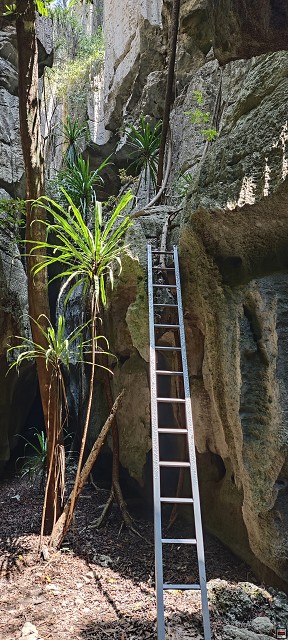 img00061.jpg