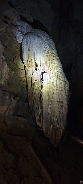 img00020.jpg