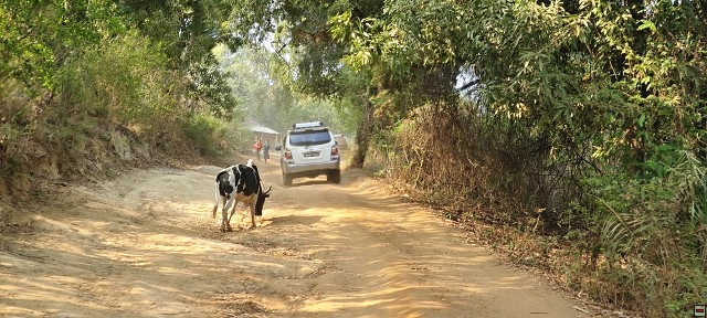 img00029.jpg