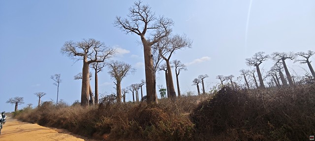 img00054.jpg