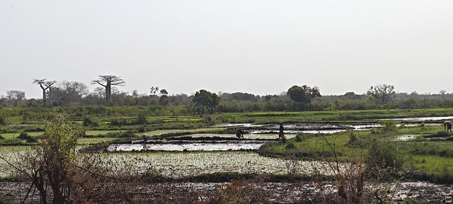 img00056.jpg