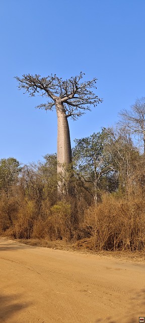 img00057.jpg