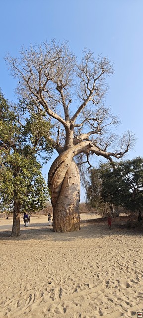 img00058.jpg
