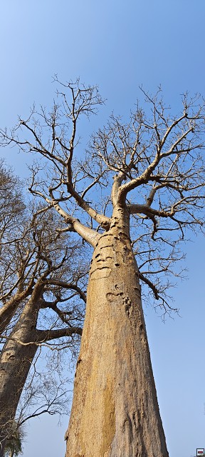img00059.jpg
