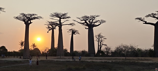 img00062.jpg