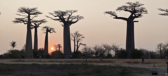 img00064.jpg