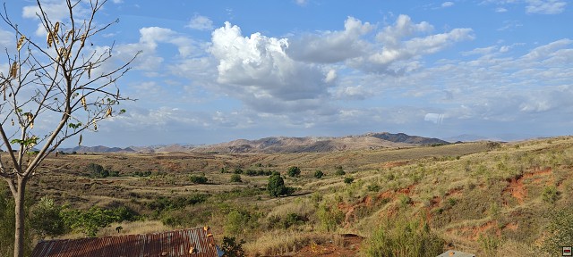 img00026.jpg