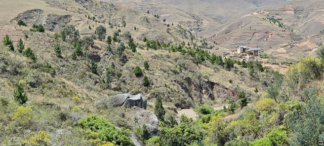 img00054.jpg