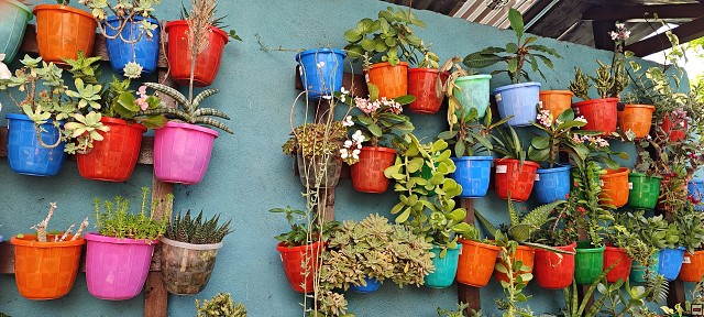img00063.jpg