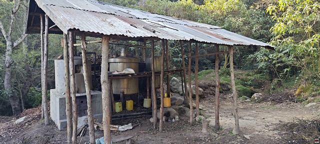 img00073.jpg