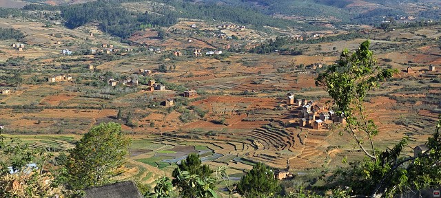 img00081.jpg