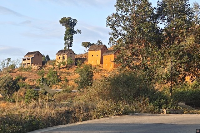 img00084.jpg