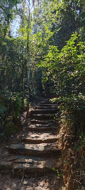 img00017.jpg