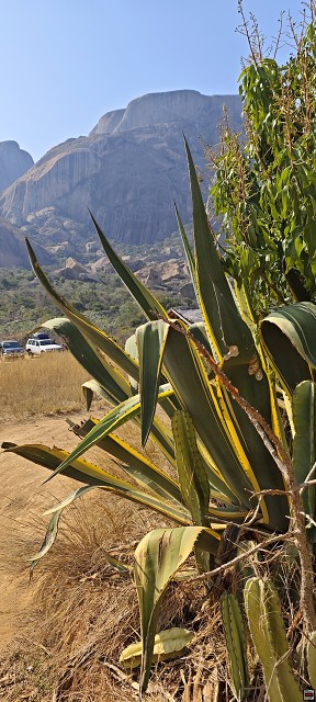 img00013.jpg