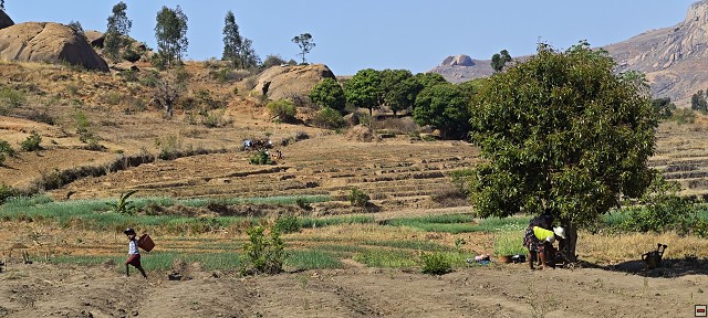 img00022.jpg
