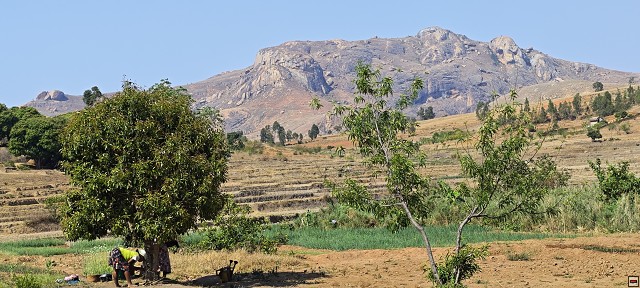img00023.jpg