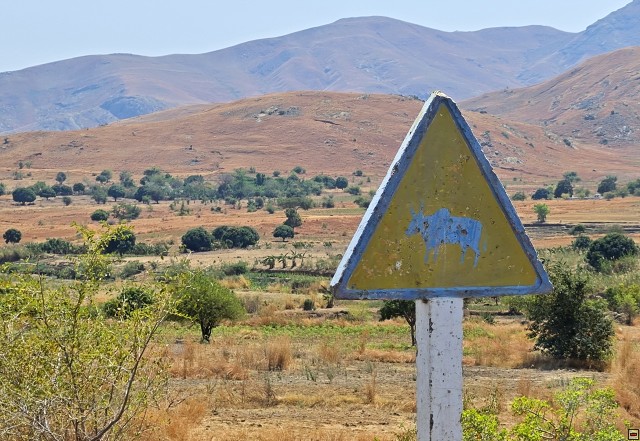 img00037.jpg