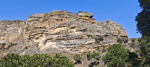img00007.jpg