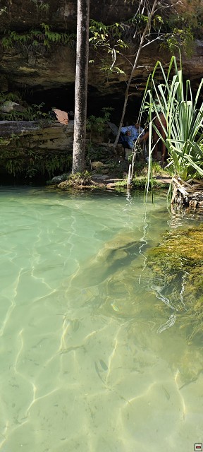 img00033.jpg