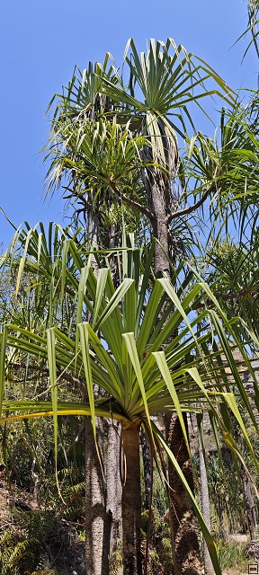 img00034.jpg