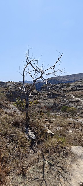 img00041.jpg