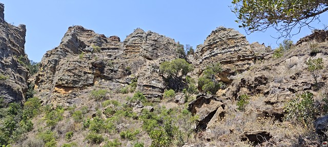 img00049.jpg