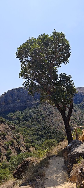 img00052.jpg