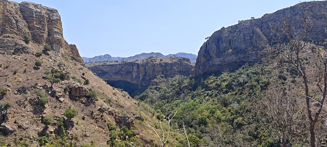 img00055.jpg