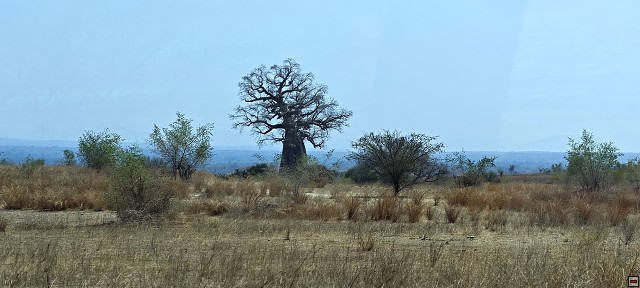 img00010.jpg