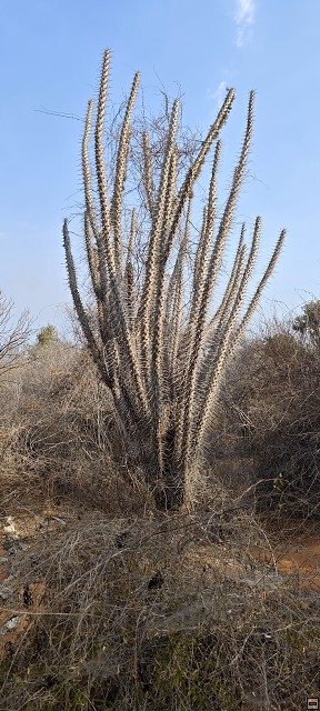 img00022.jpg