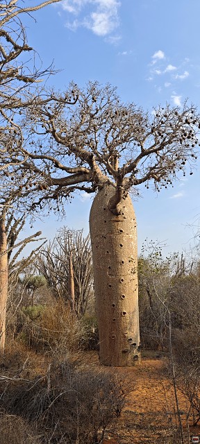 img00029.jpg