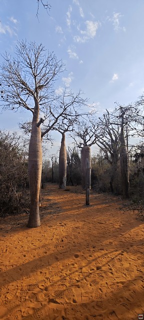 img00034.jpg