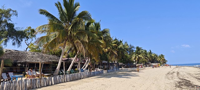 img00011.jpg